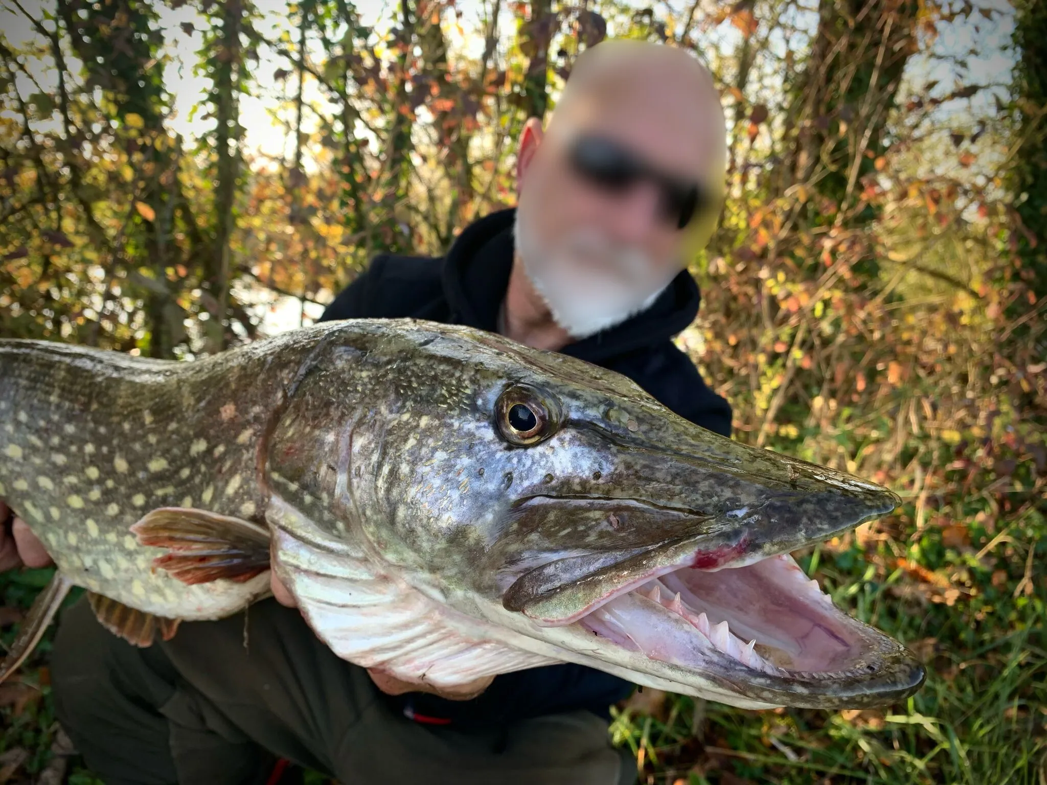 Étang sauvage de 2,7 ha avec maison tout équipée – Spot idéal pour les amateurs de carnassiers en fl