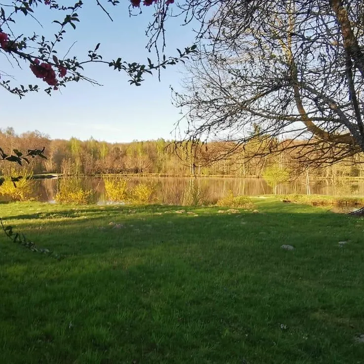 Étang privé et maison tout équipée en Haute-Saône