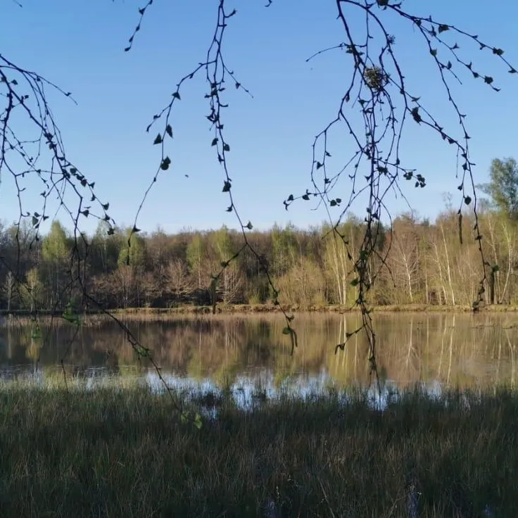 Étang privé et maison tout équipée en Haute-Saône