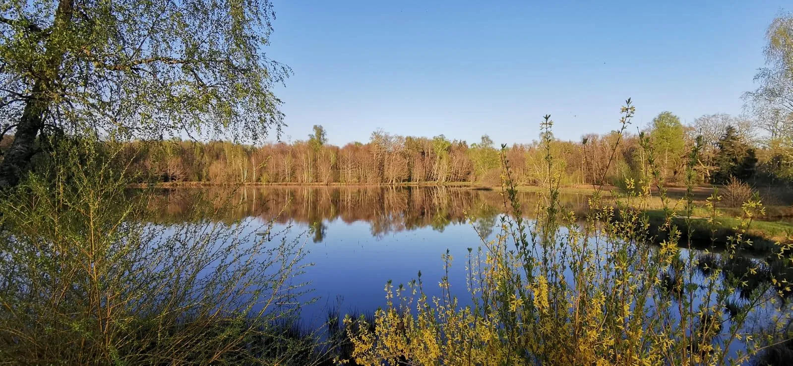 Étang privé et maison tout équipée en Haute-Saône