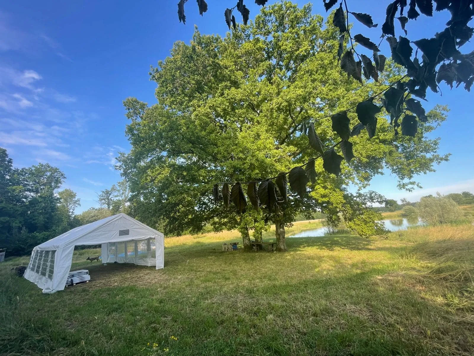 Location étang dans la Marne pour pêcher en famille ou entre amis