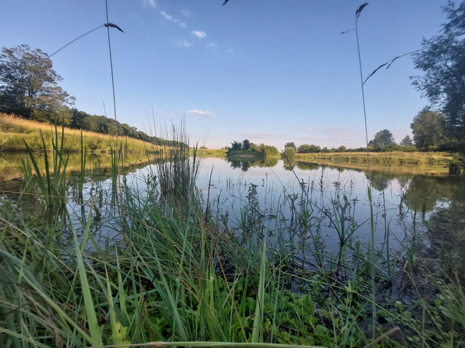 Location étang dans la Marne pour pêcher en famille ou entre amis