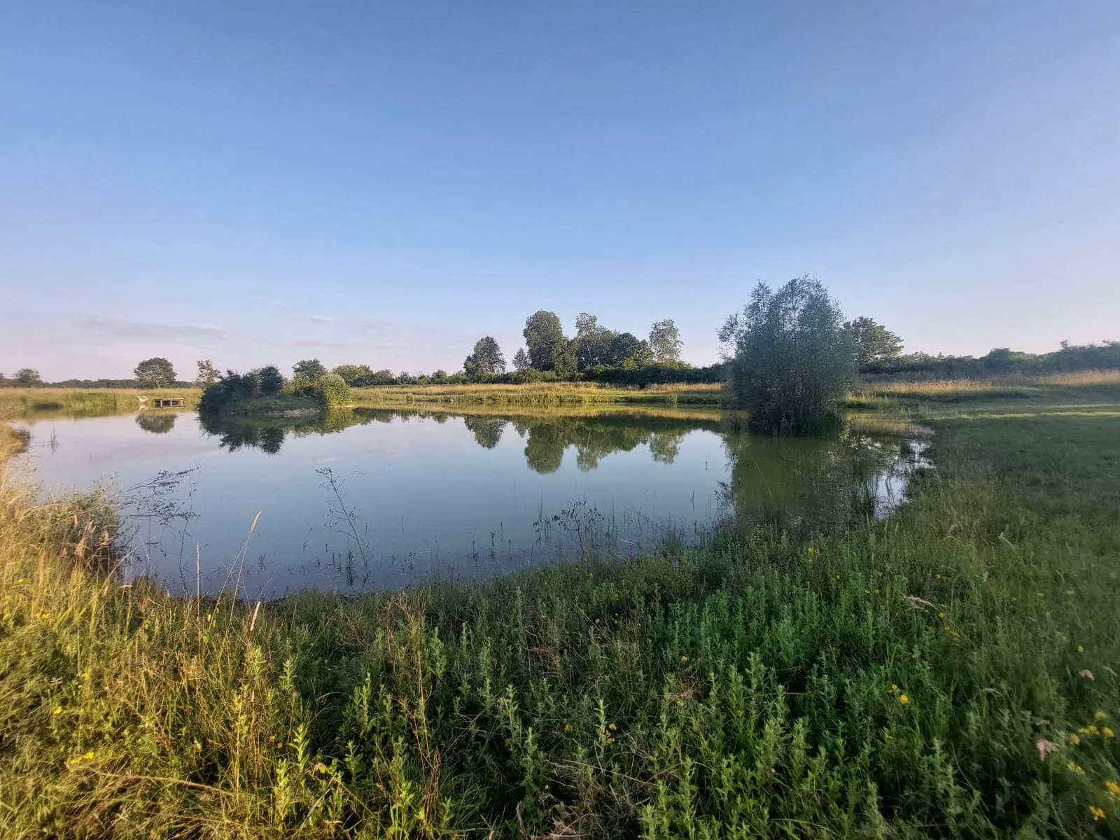 Location étang dans la Marne pour pêcher en famille ou entre amis