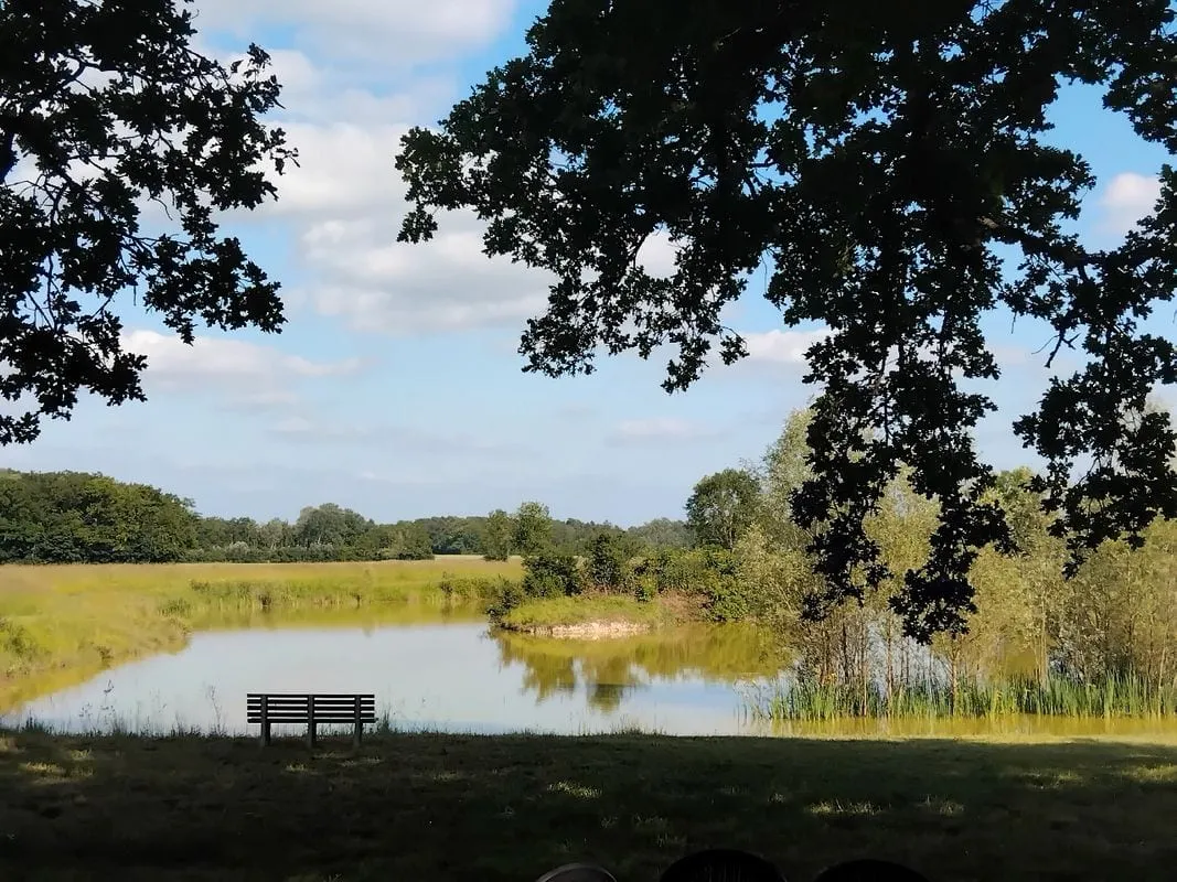Location étang dans la Marne pour pêcher en famille ou entre amis