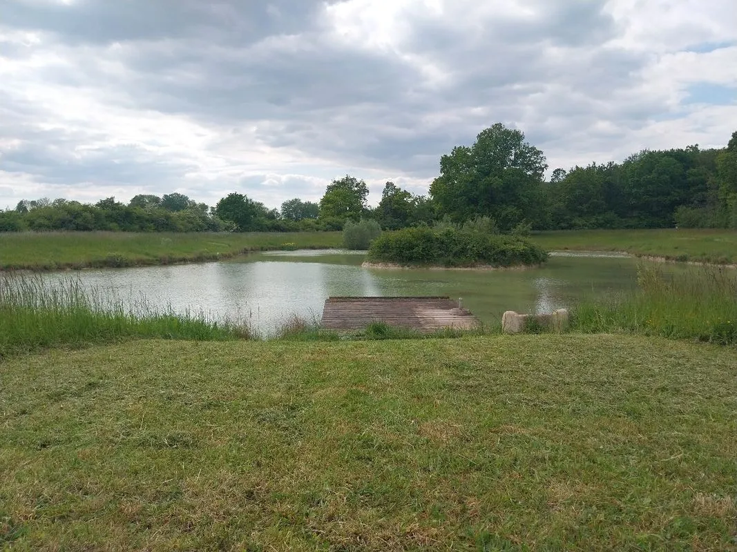 Location étang privé de 7000m² dans la Marne pour 30 à 50 personnes en pleine nature à 1h30 de Paris