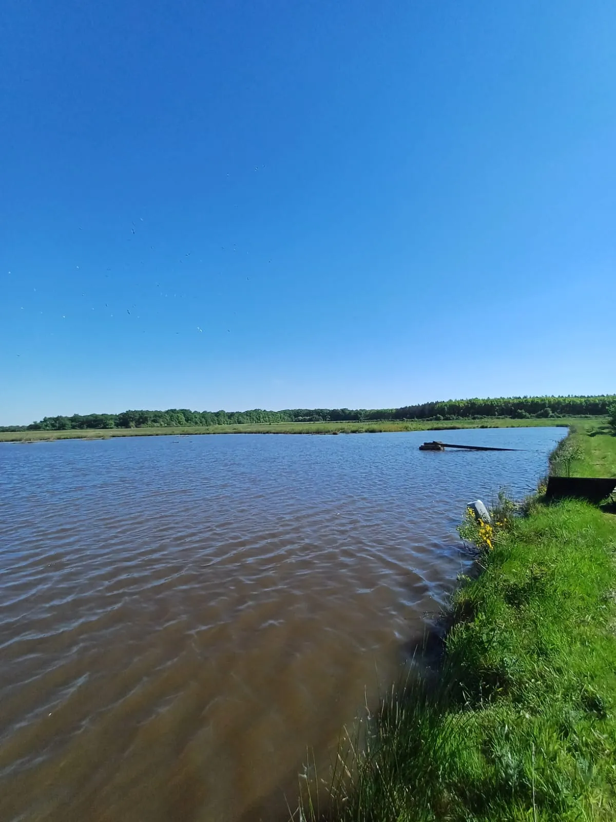 Location étang de 12ha + un étang de 2ha pour la pêche