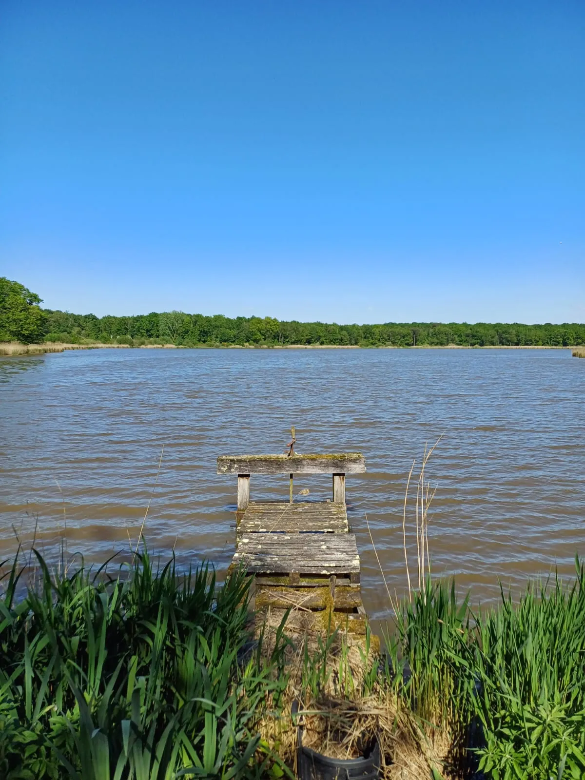 Location étang de 12ha + un étang de 2ha pour la pêche