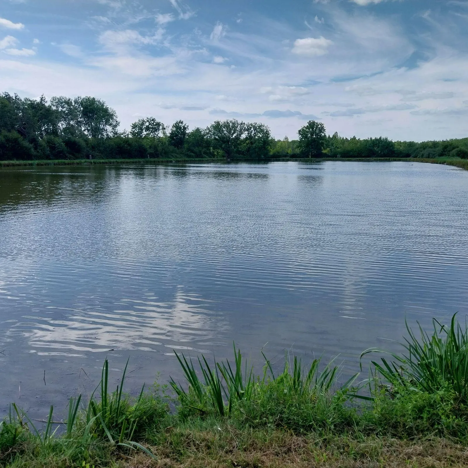 Étang de 4 ha situé en Sologne avec grande maison de chasse de 70 m2