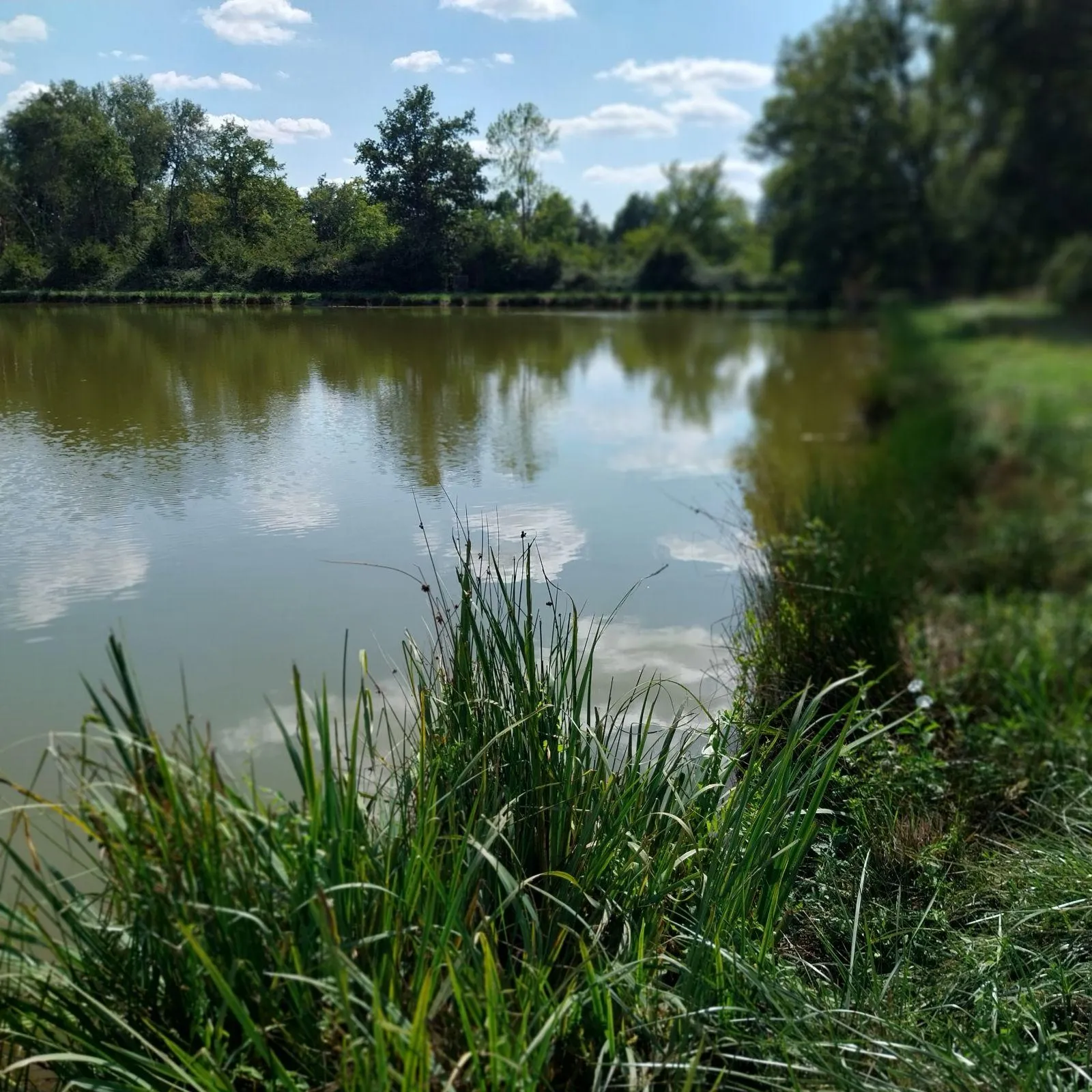 Étang de 4 ha situé en Sologne avec grande maison de chasse de 70 m2