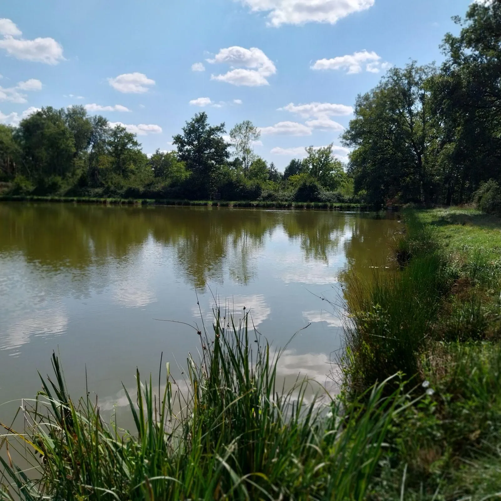 Étang de 4 ha situé en Sologne avec grande maison de chasse de 70 m2
