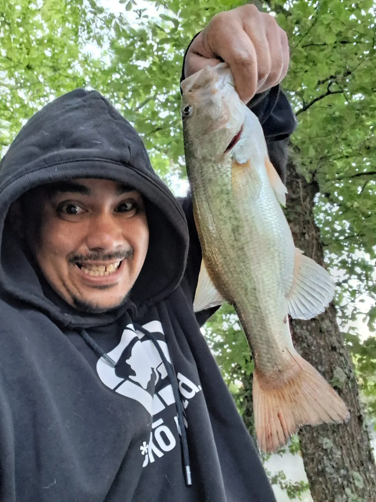 Etang de 2.5ha avec son mobil home en Saône-et-Loire