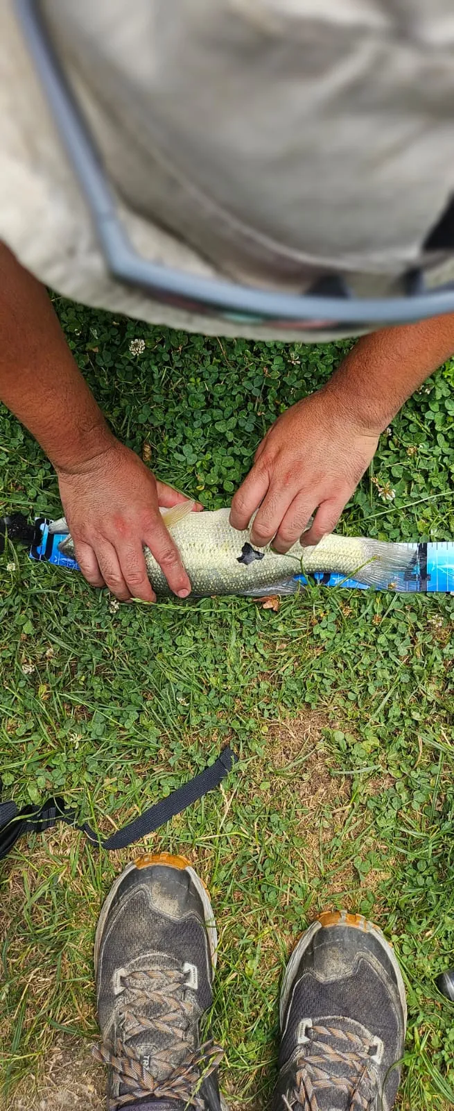 Etang de 2.5ha avec son mobil home en Saône-et-Loire