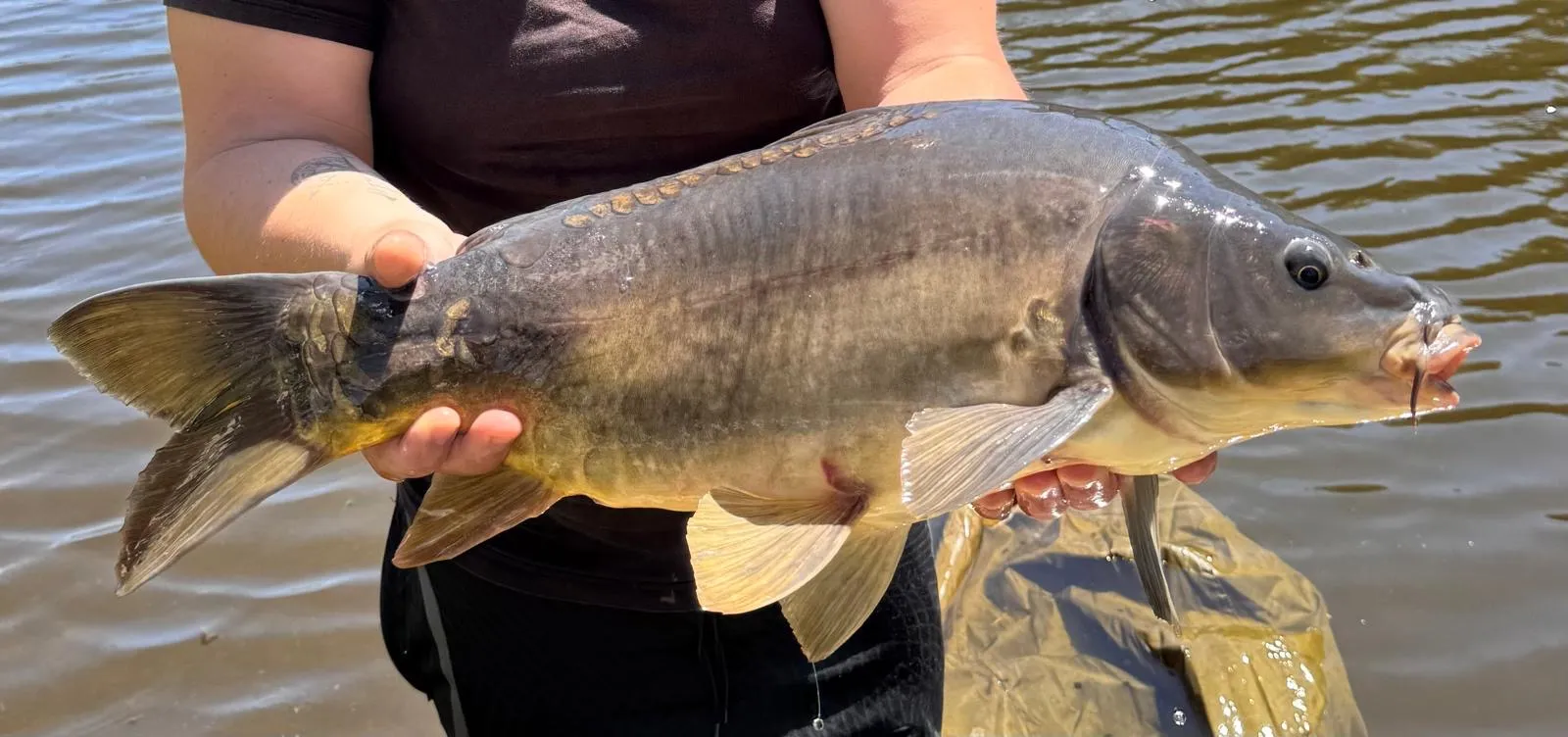 Maison tout équipée avec étang privé en Auvergne-Rhône-Alpes