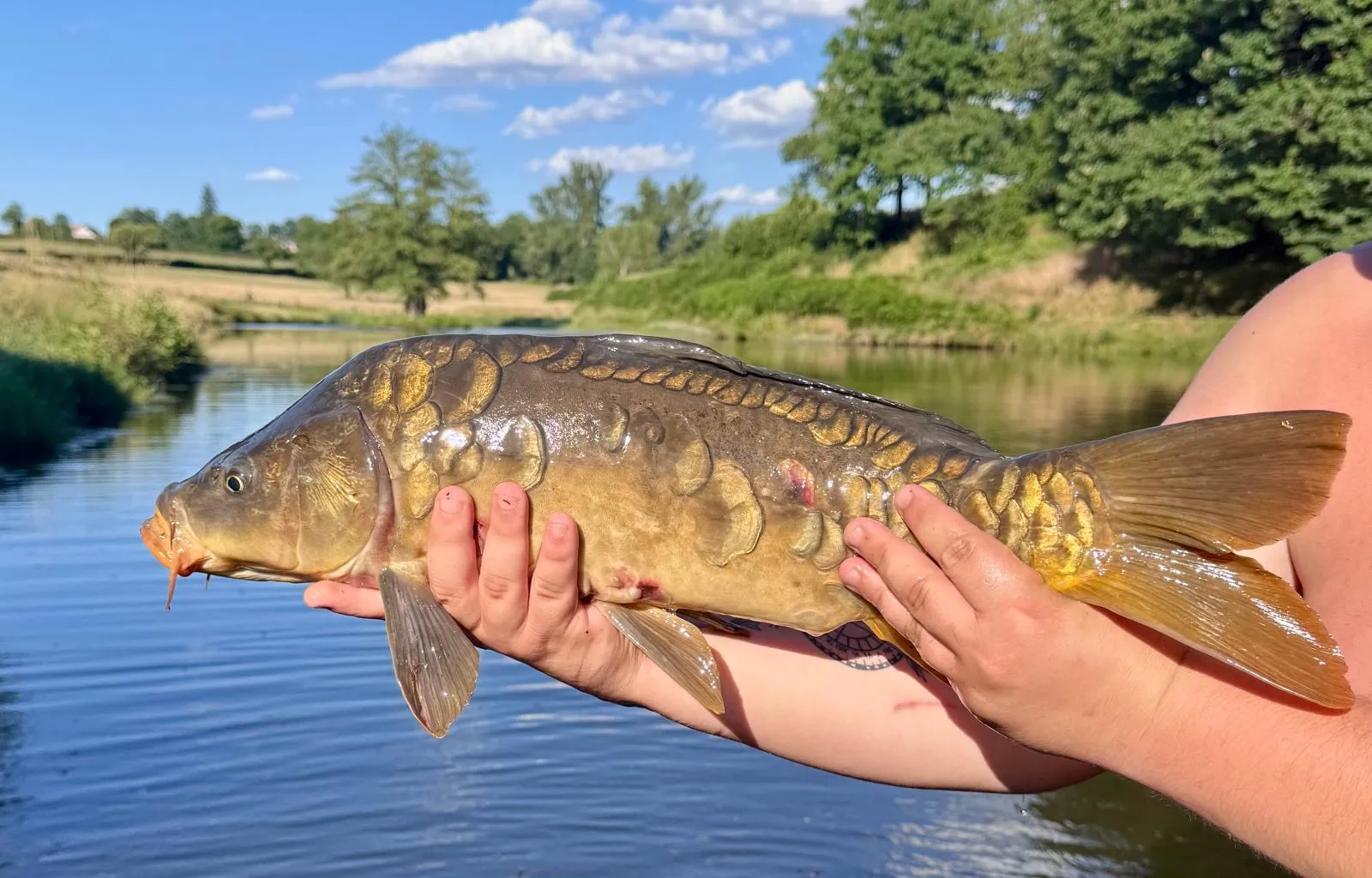 Maison tout équipée avec étang privé en Auvergne-Rhône-Alpes