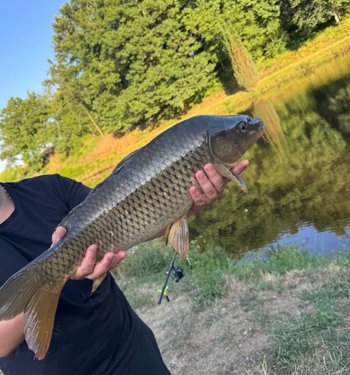 Maison tout équipée avec étang privé en Auvergne-Rhône-Alpes