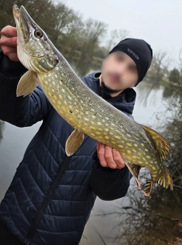 Mobile home all comfort at the edge of a large private pond