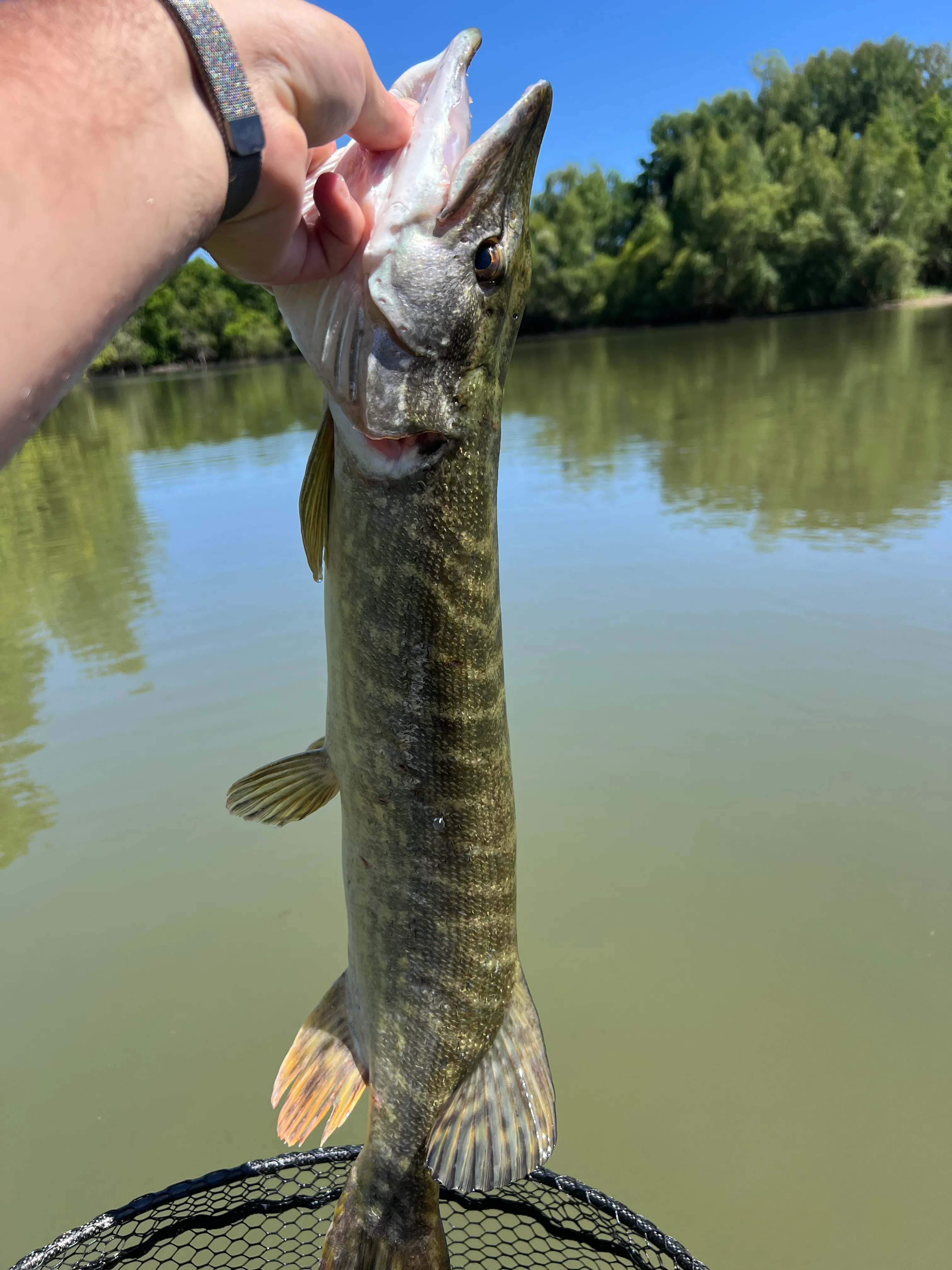 Location étang de 2.7ha en Sologne - Pêche du brochet