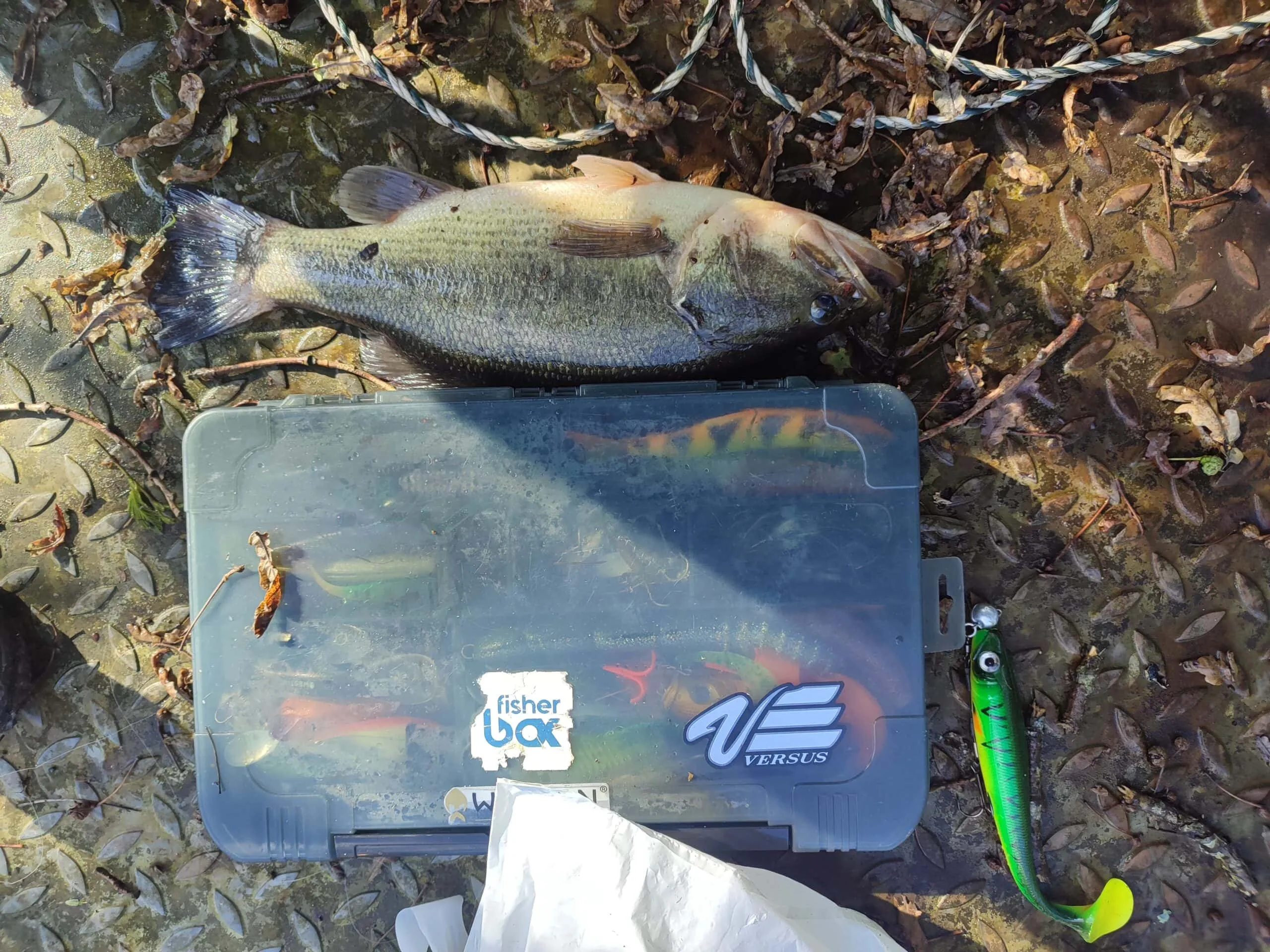 Etang aux portes de la Sologne