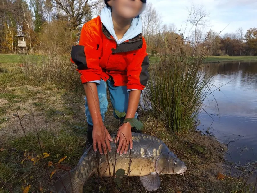 Etang aux portes de la Sologne