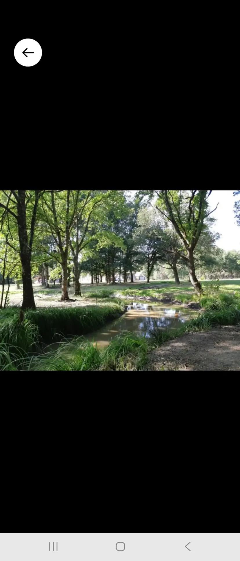 Domaine privatif avec étang de 1 hectare et 4 gîtes en Sologne