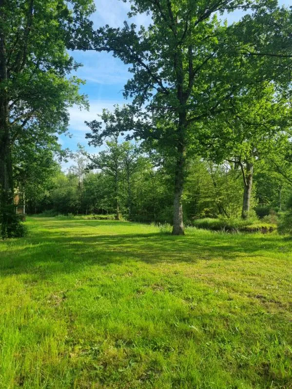 Etang aux portes de la Sologne