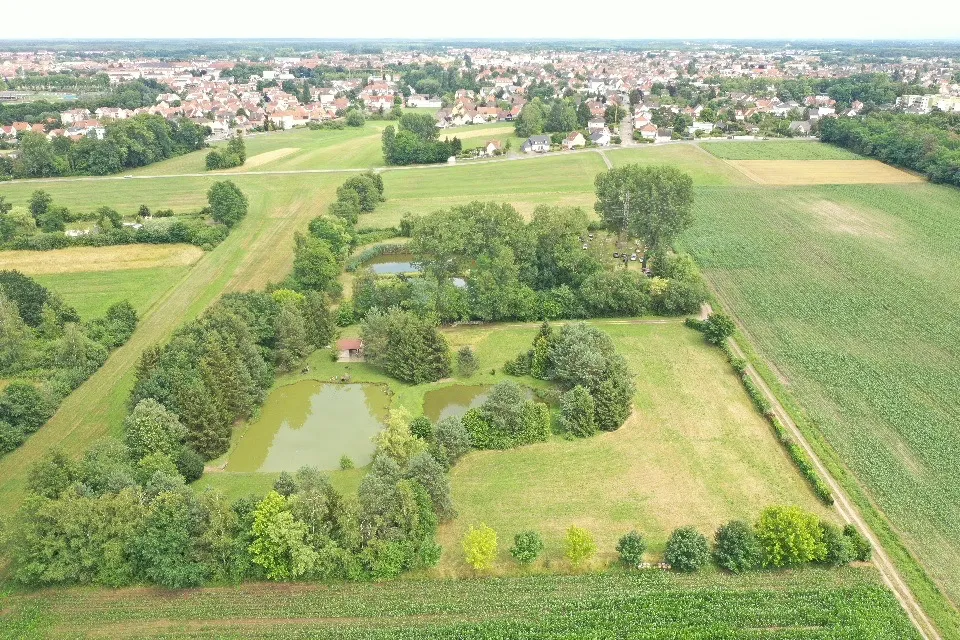 Étangs à louer pour des évènements à 30 min de Strasbourg – Terrain de 3 ha de nature en Alsace