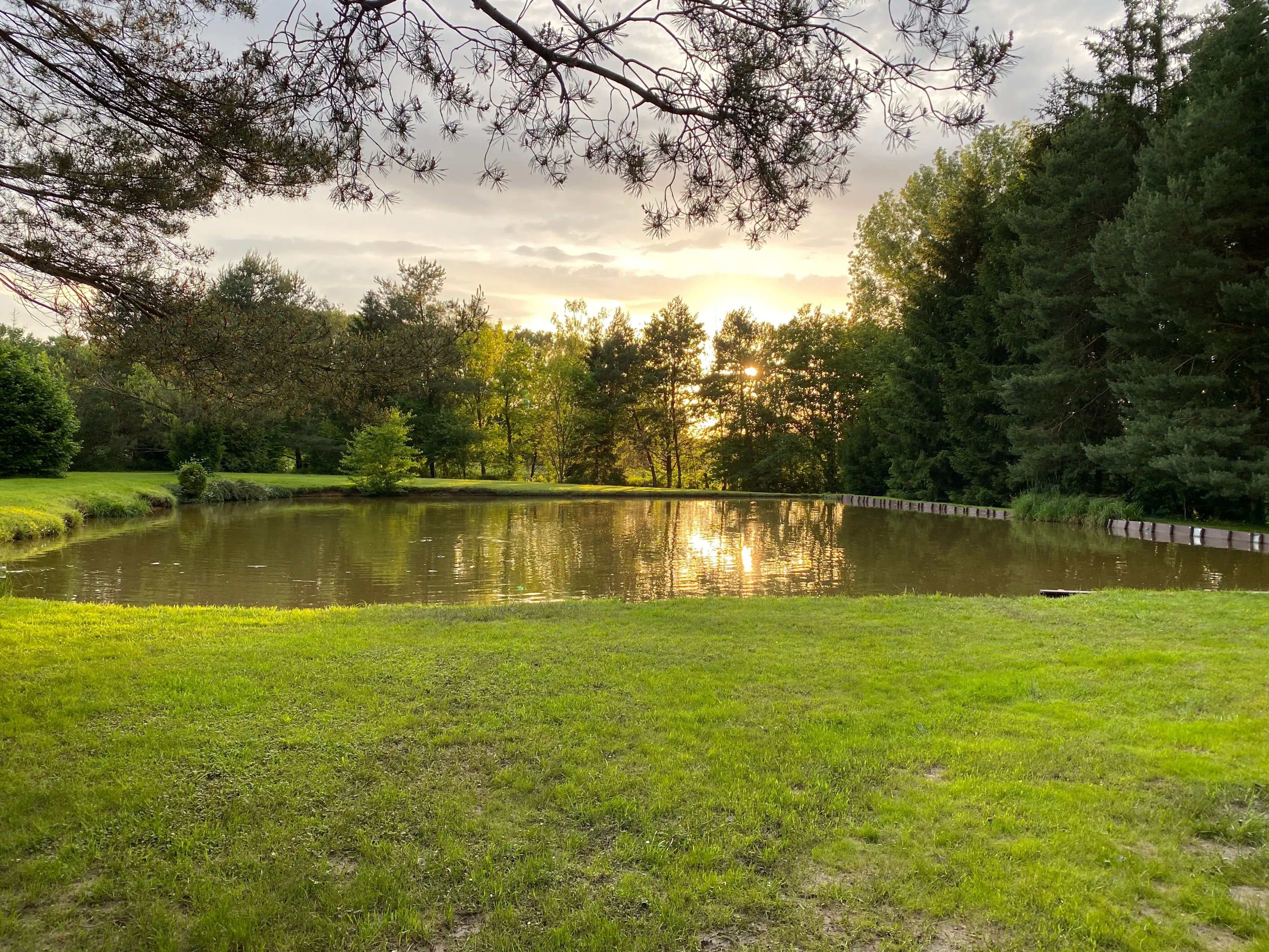 Étangs à louer pour des évènements à 30 min de Strasbourg – Terrain de 3 ha de nature en Alsace