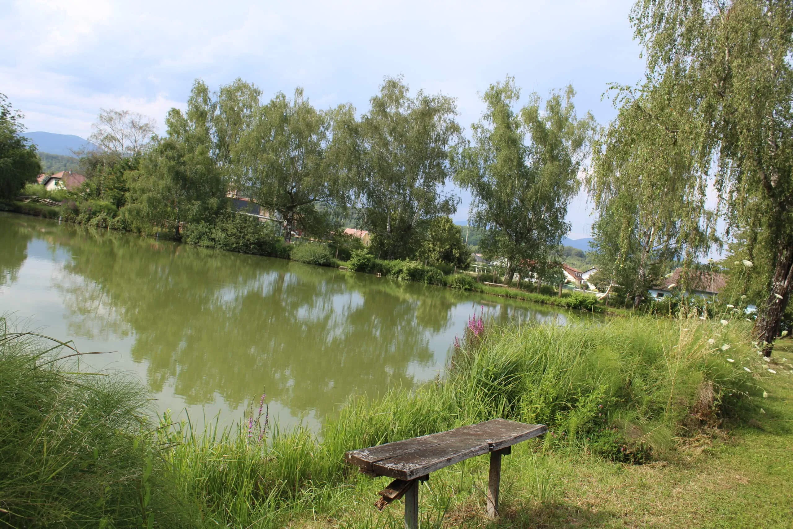 Etang carpodrome avec chalet en Alsace