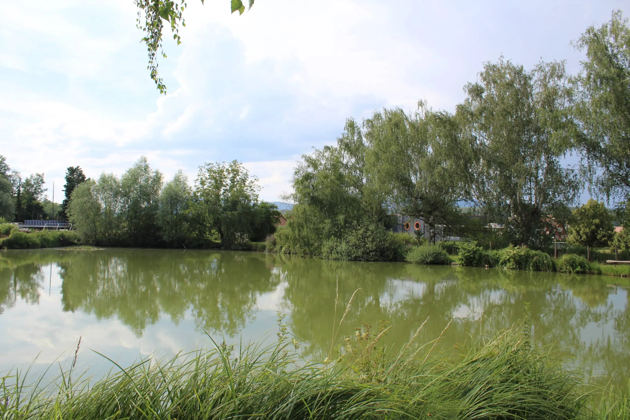 Etang carpodrome avec chalet en Alsace