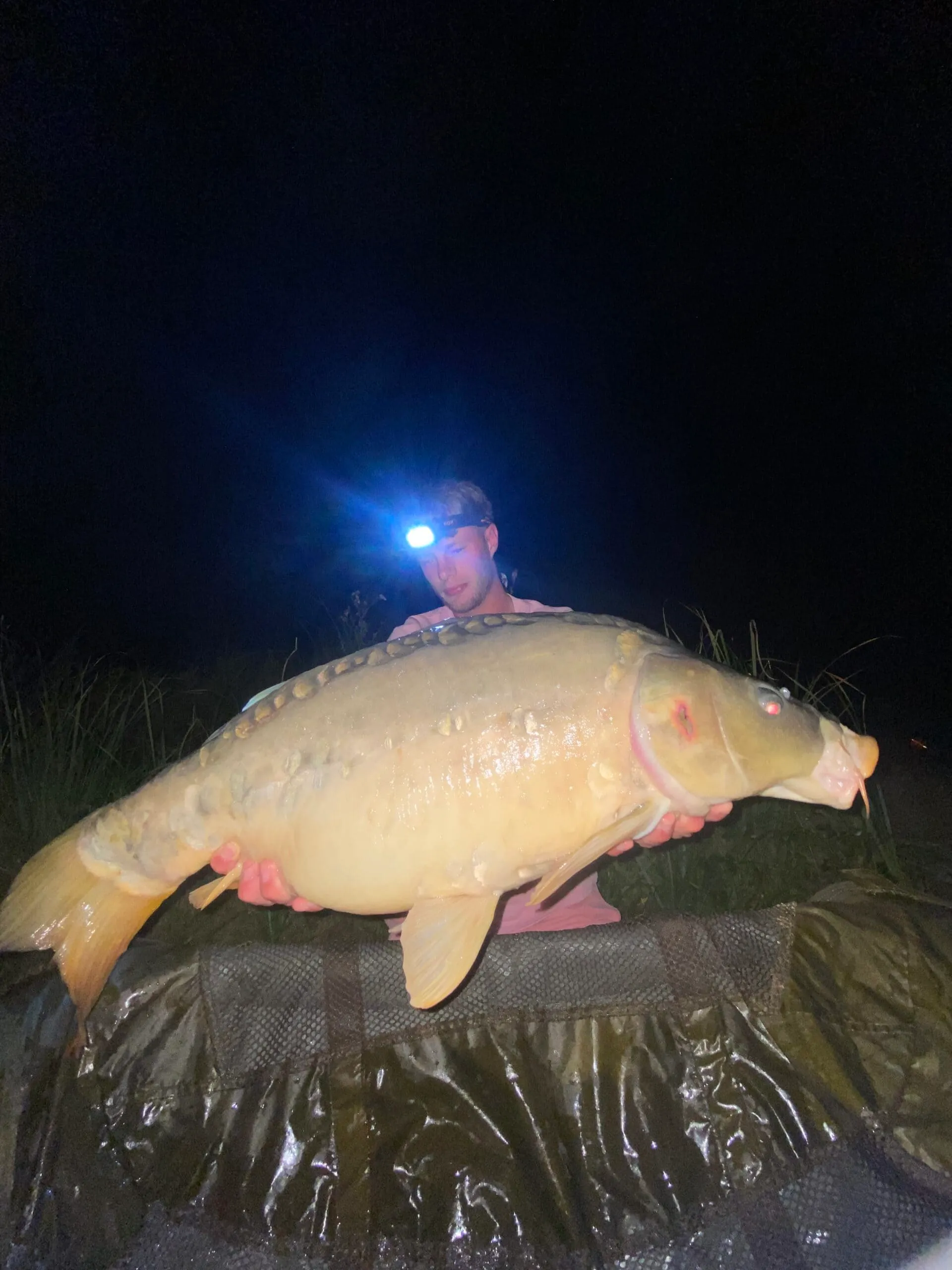 Etang de 3.5 Ha avec chalet 6 couchages dans une propriété de 10 Ha