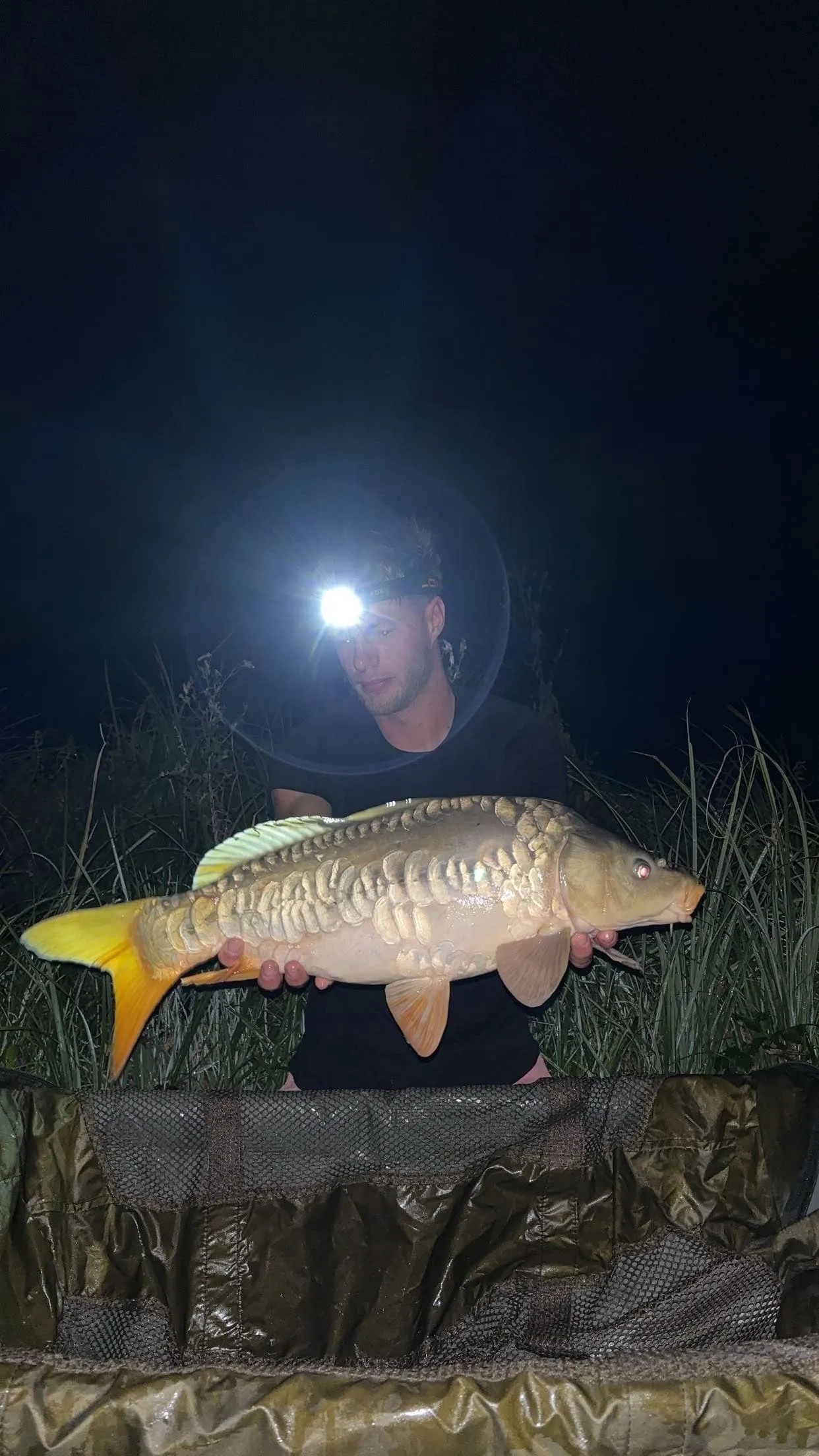 Etang de 3.5 Ha avec chalet 6 couchages dans une propriété de 10 Ha