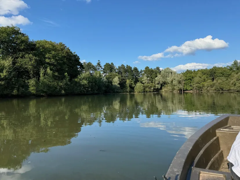Location étang de 2.7ha en Sologne - Pêche du brochet