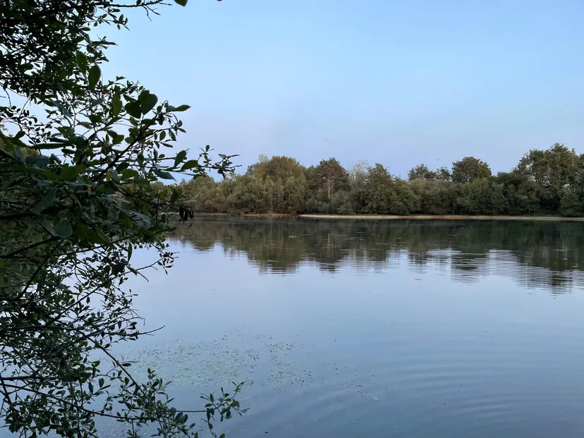 Gite entre Loire et Sologne avec accès à un étang de 2.5ha