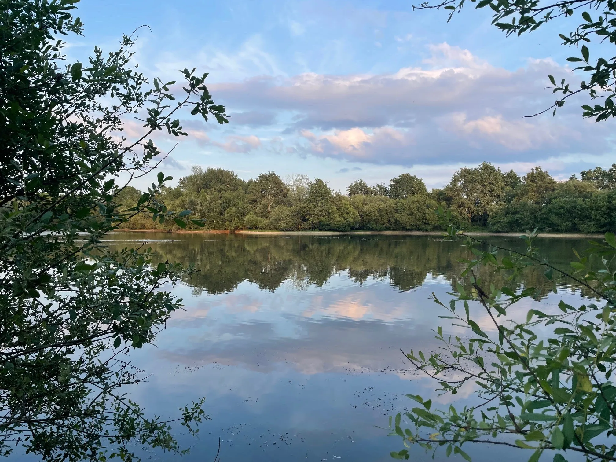 Location étang de 2.5ha en Sologne pêche du brochet