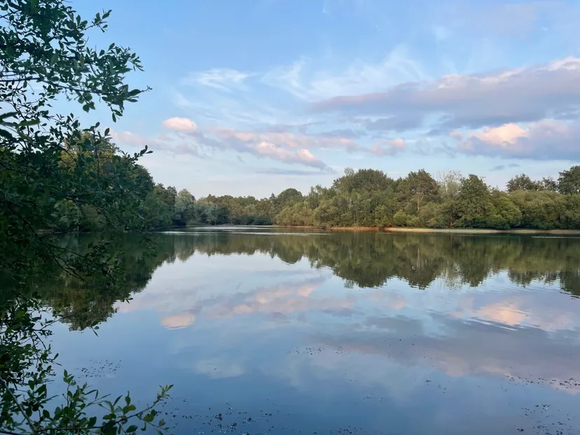 Gite entre Loire et Sologne avec accès à un étang de 2.5ha