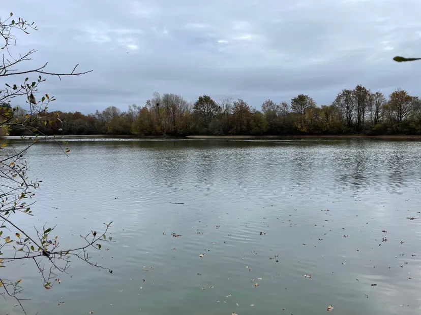 Location étang de 2.7ha en Sologne - Pêche du brochet