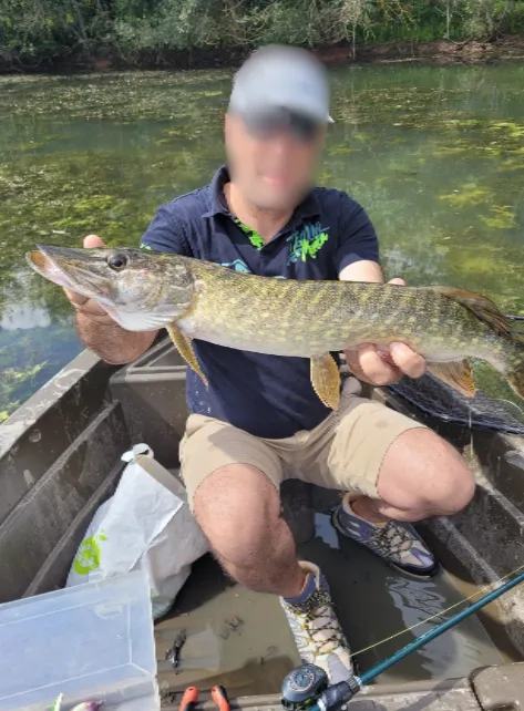 Location étang de 2.7ha en Sologne - Pêche du brochet
