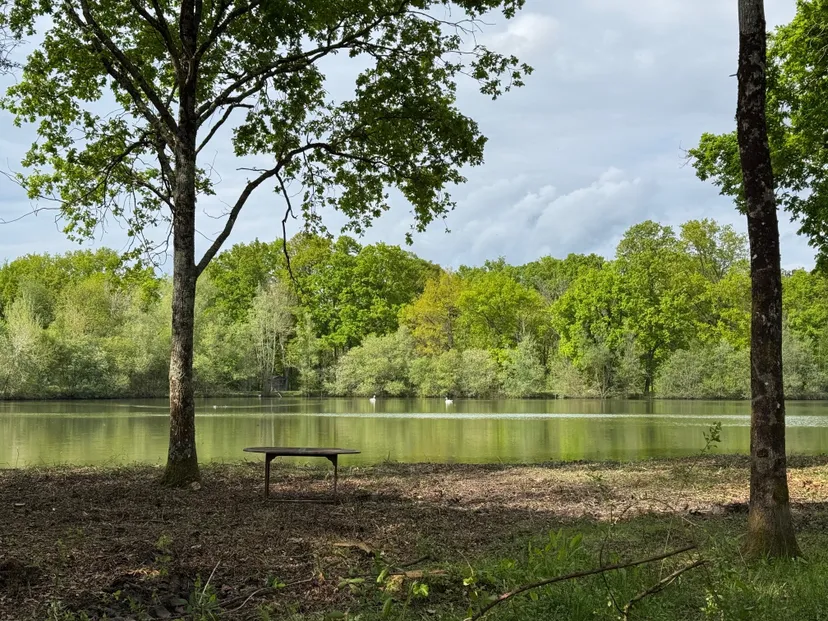 Location étang de 2.7ha en Sologne - Pêche du brochet