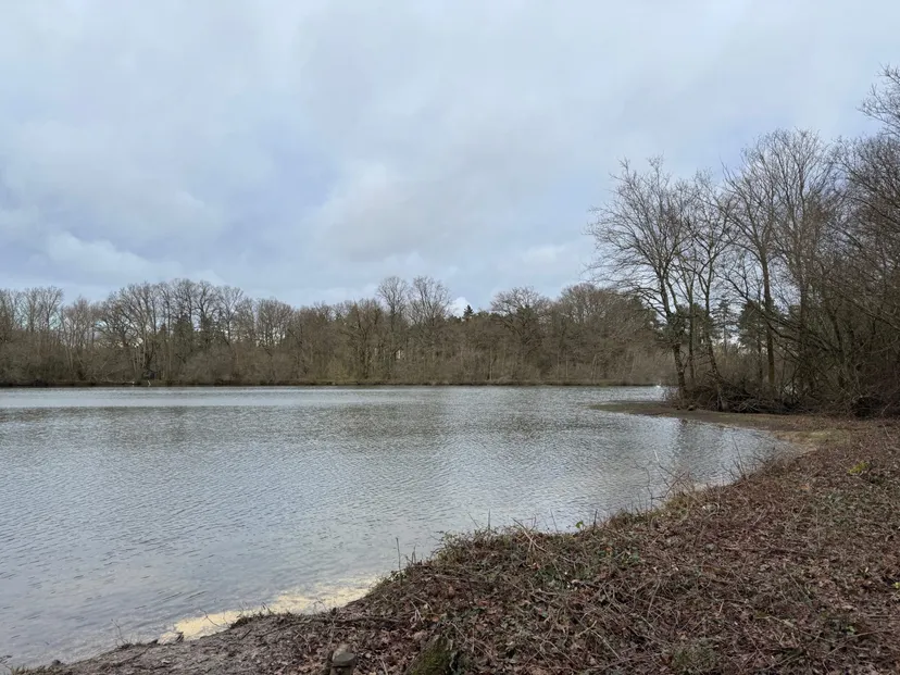 Location étang de 2.7ha en Sologne - Pêche du brochet