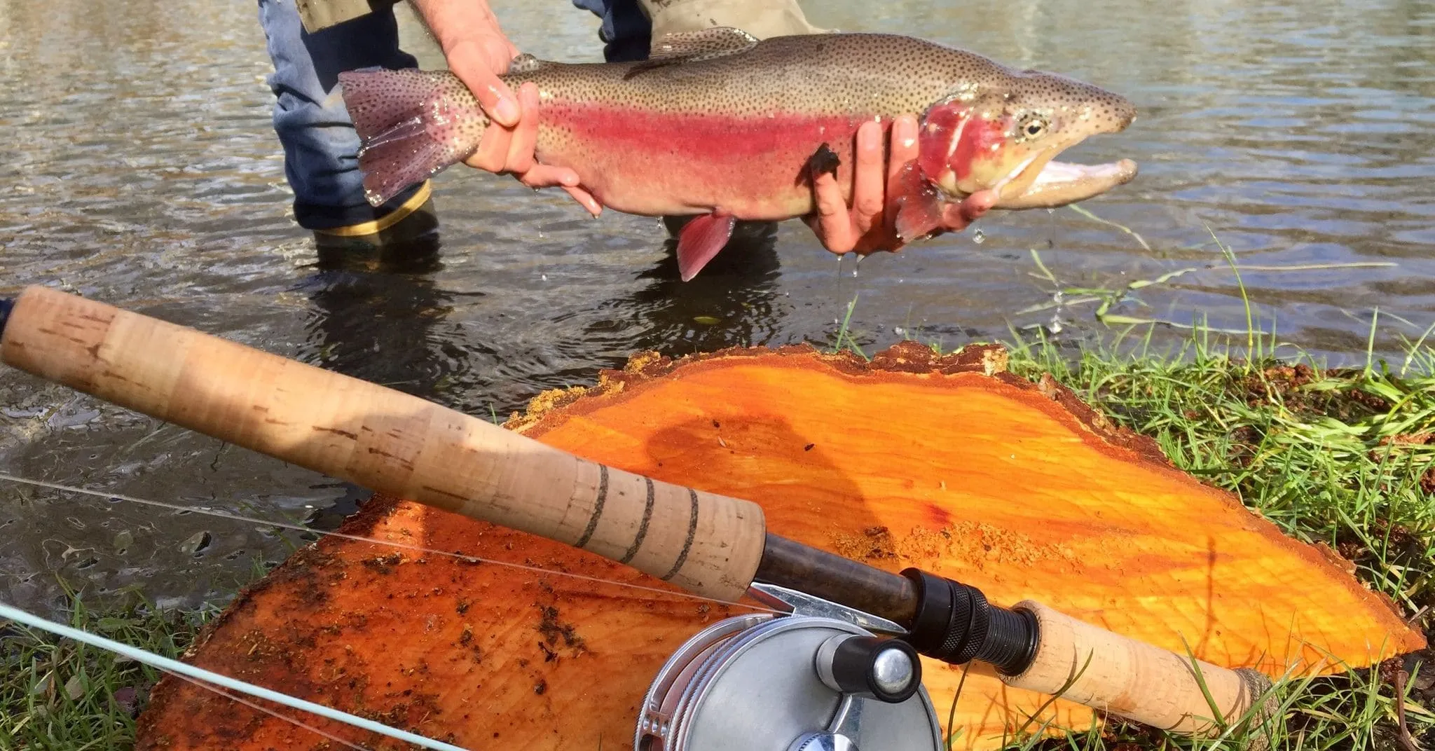 Gîte avec un lac dans la Creuse – réservoir de truites trophées