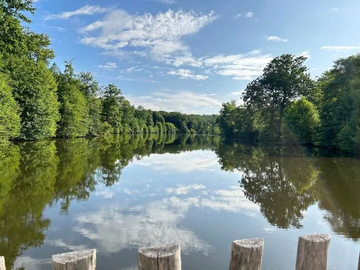 Maison au cœur du Périgord vert avec étang de 3ha