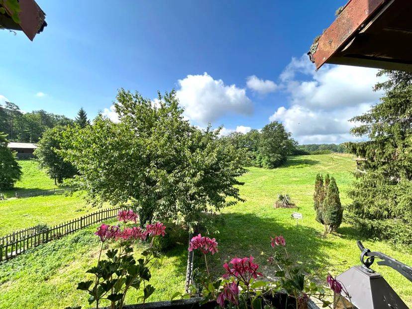 Maison au cœur du Périgord vert avec étang de 3ha