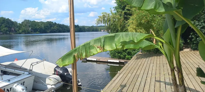Fishing stay on the Tarn - private pontoon and jacuzzi