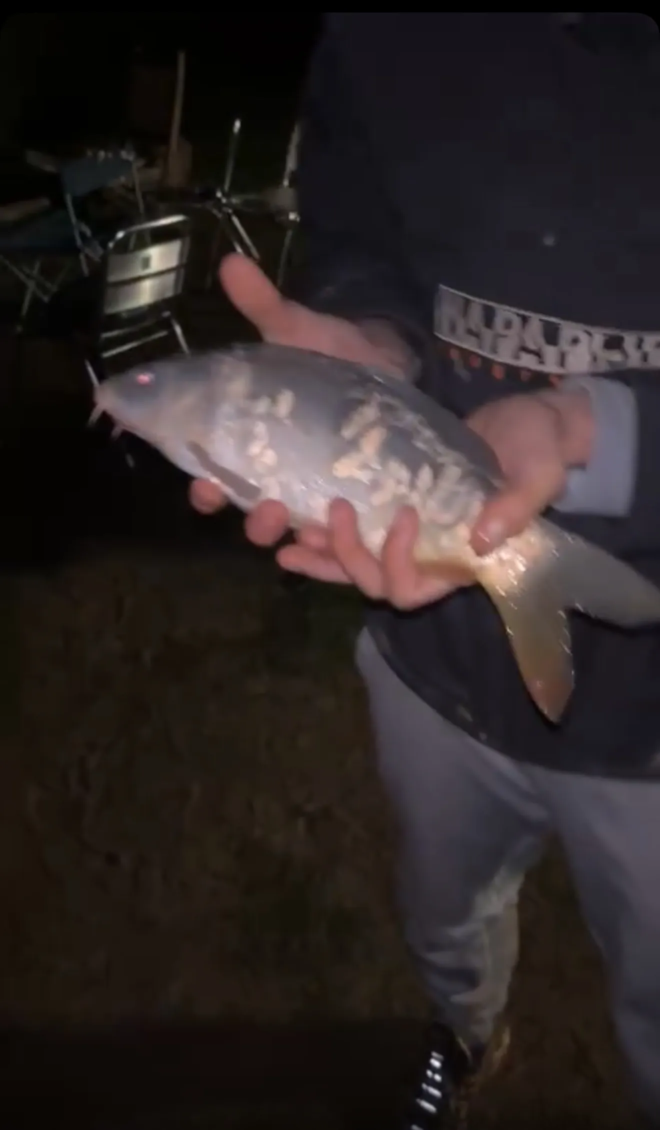 NOUVEAUX TRAVAUX ! Cottage avec étang et son île en pleine nature