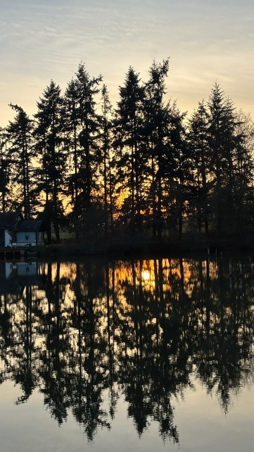 NOUVEAUX TRAVAUX ! Cottage avec étang et son île en pleine nature