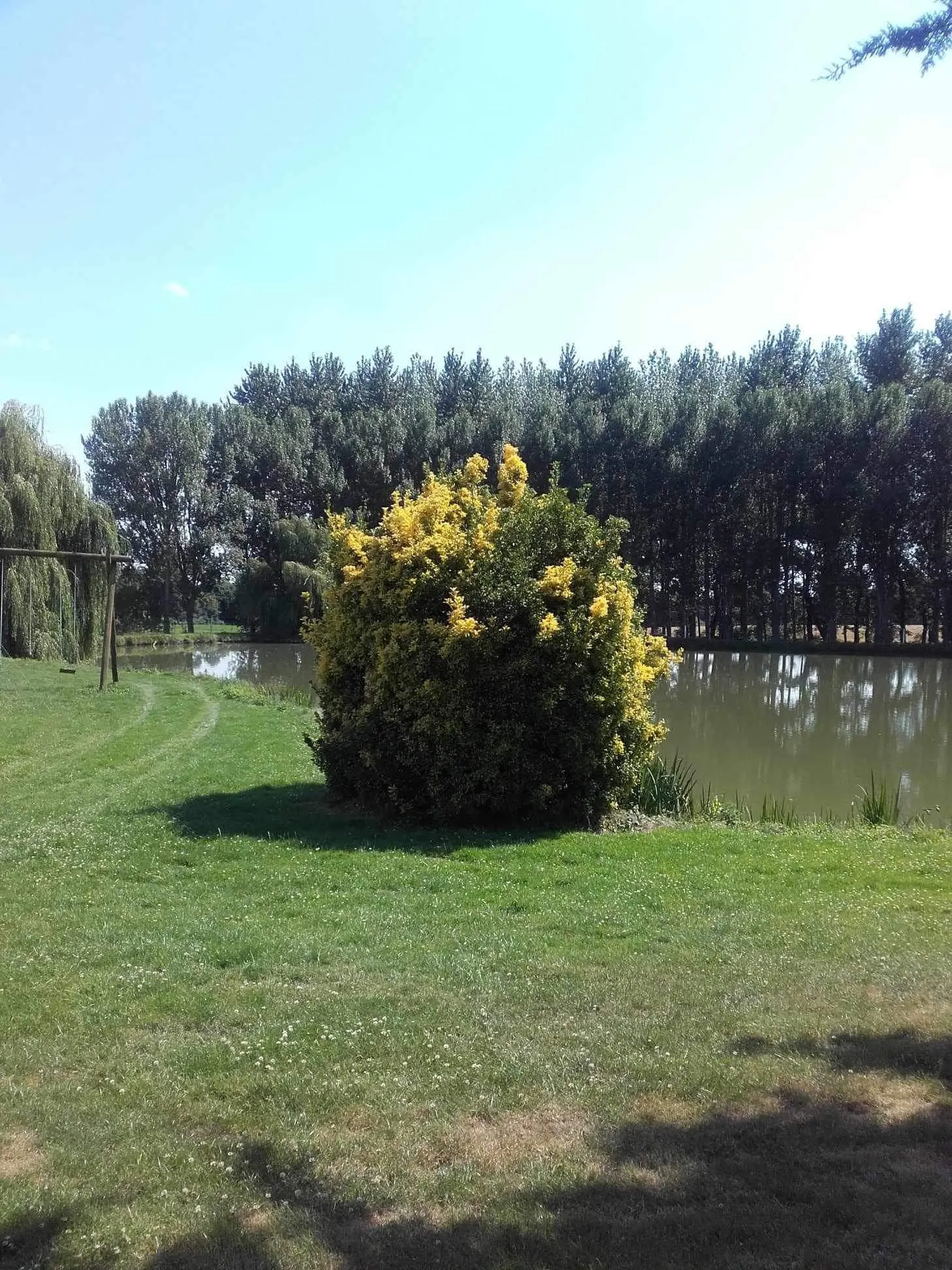 Location de deux étangs pour camper en Bretagne