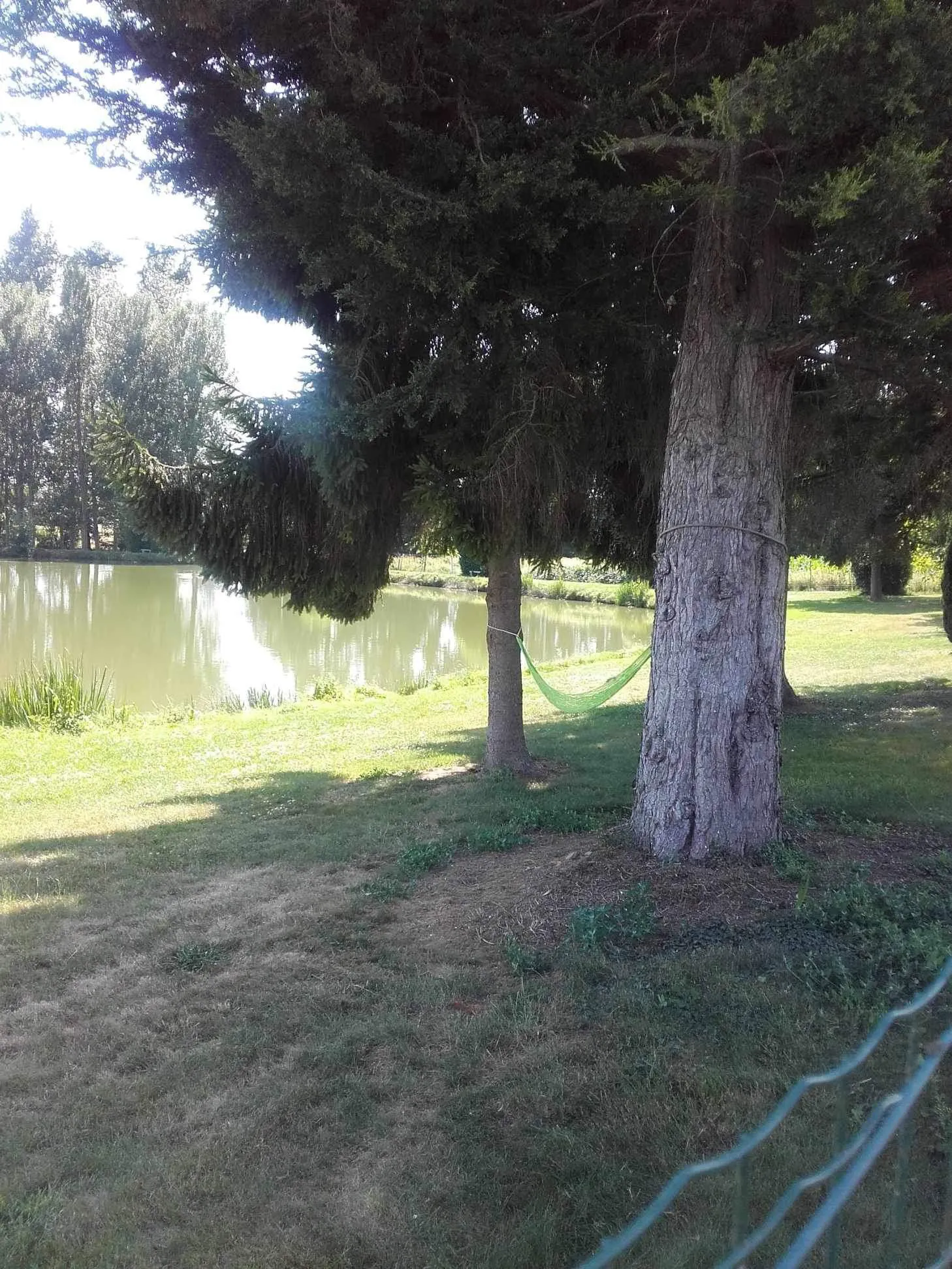 Location de deux étangs pour camper en Bretagne