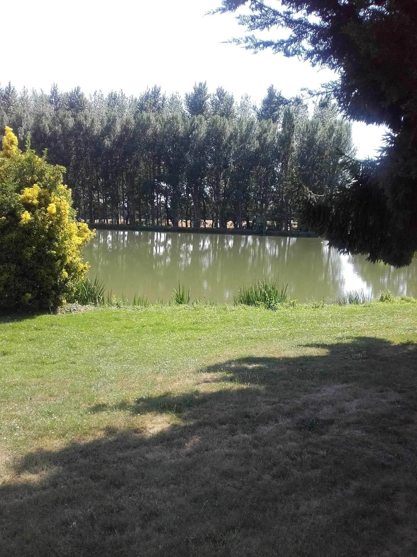 Location de deux étangs pour camper en Bretagne