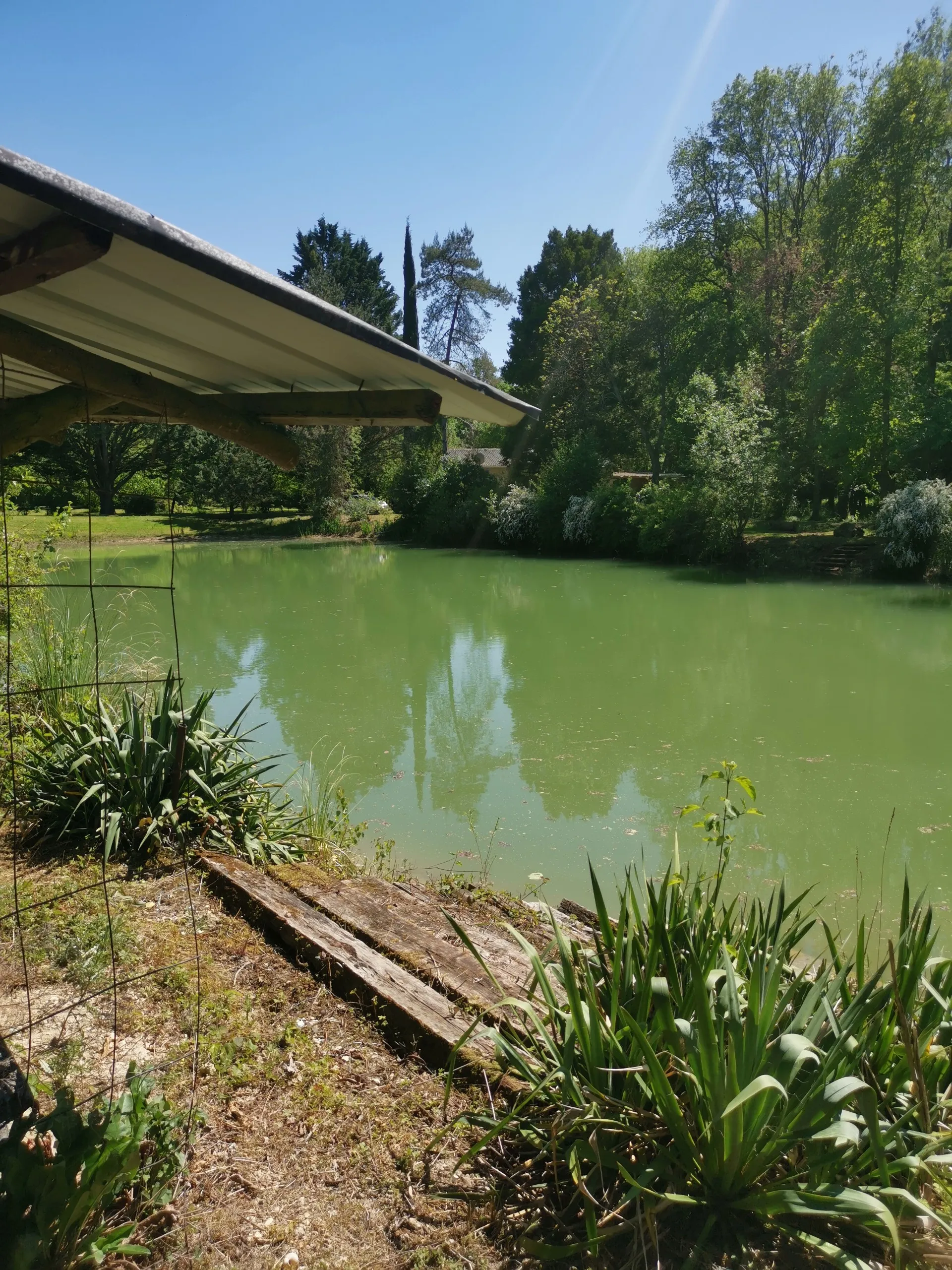 Magnifique propriété dotée d'un étang, d'une forêt et d'un verger