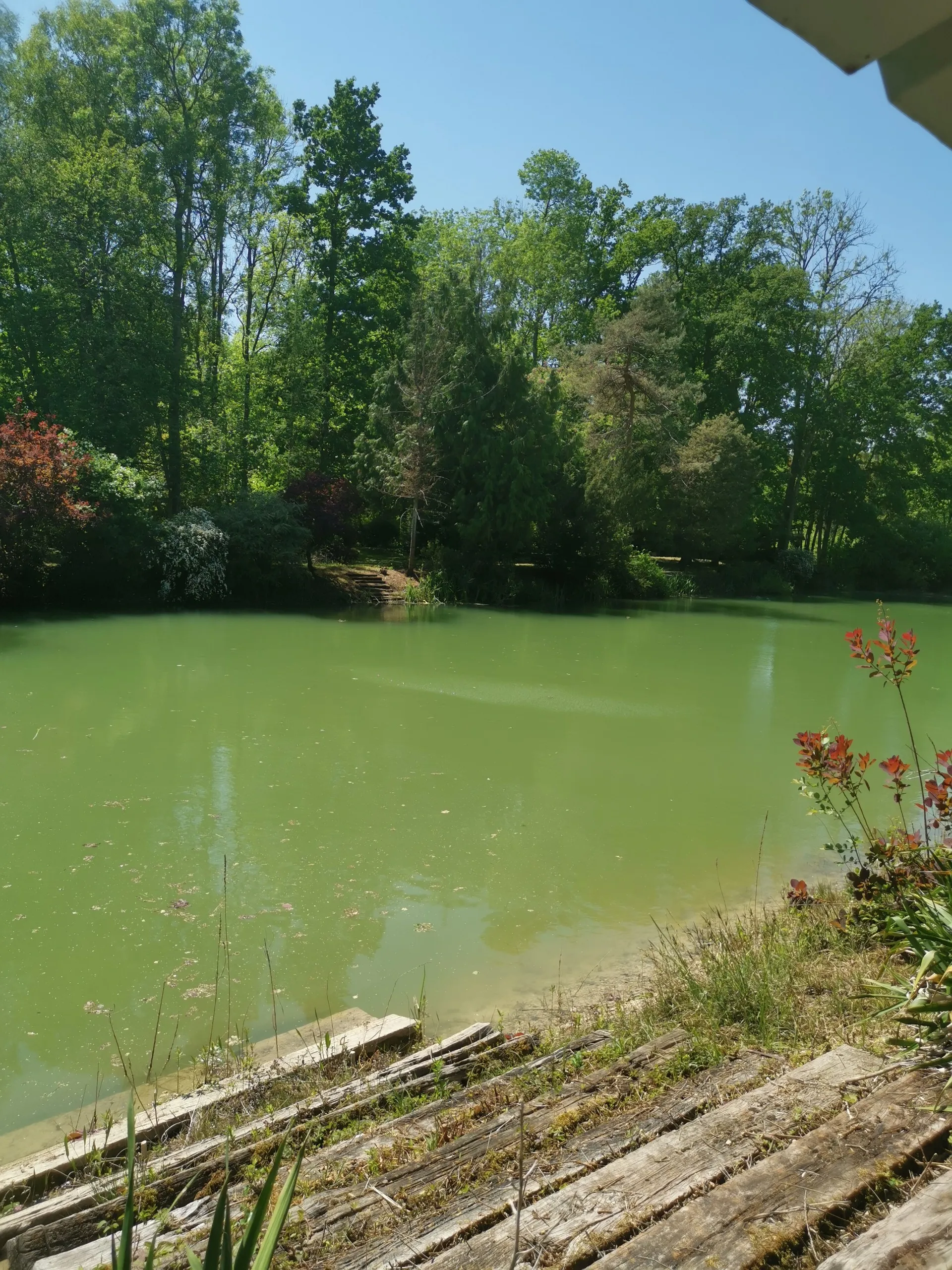 Magnifique propriété dotée d'un étang, d'une forêt et d'un verger